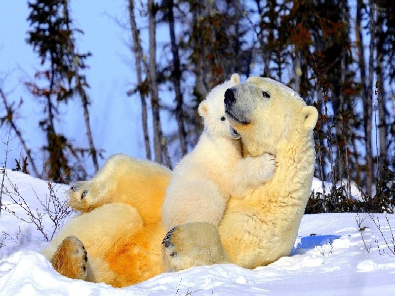 试管查白带吗（国外试管日记男孩）